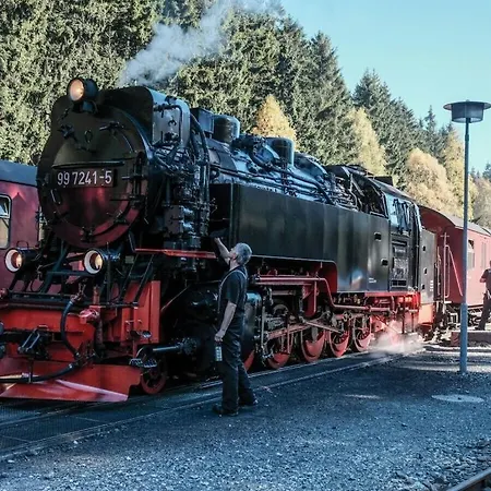 Holiday home Bergwaldchalet Wellness 8 Schierke