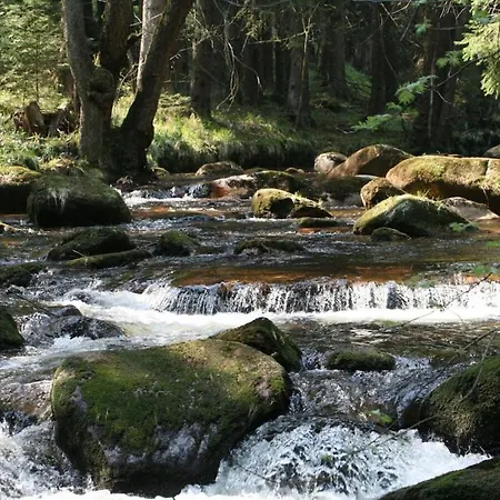 Holiday home Bergwaldchalet Wellness 8 *