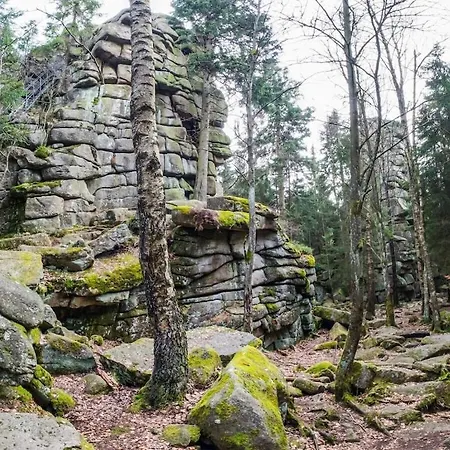 Bergwaldchalet Wellness 8 Holiday home Schierke