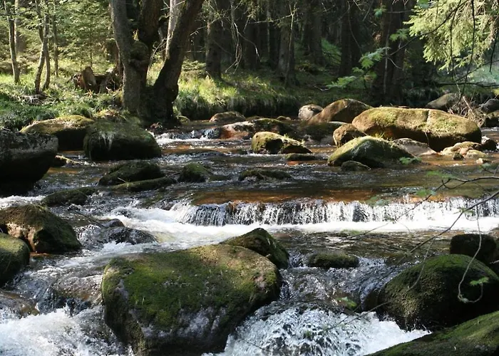 Semesterbostad Bergwaldchalet Wellness 8 *
