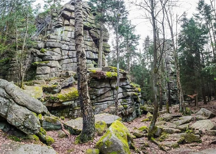 Bergwaldchalet Wellness 8 Semesterbostad Schierke